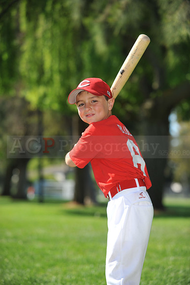 Farm_Reds025