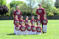 TIMBER RATTLERS