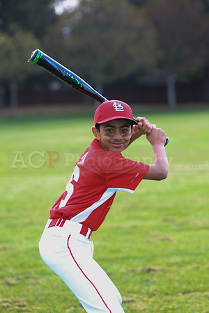 AACardinals028