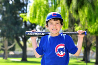 FMCubs014