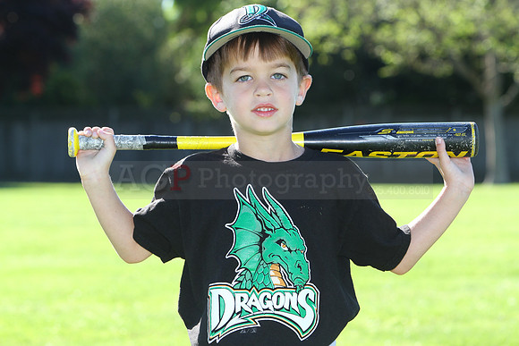 FMDragons093