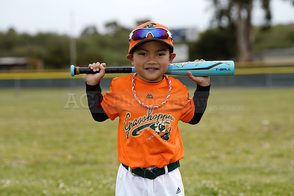 TBGrasshoppers00108