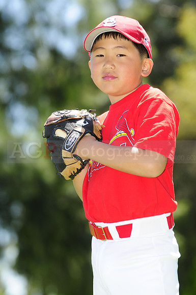 FarmCards044