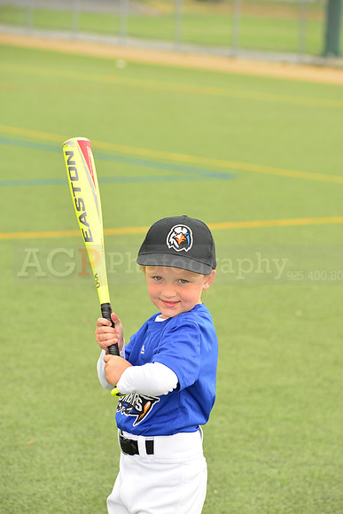 SB_TB_Ironbirds00074