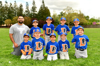 T-BALL BULLS
