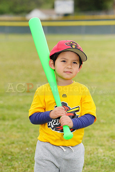 AGP08931