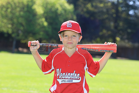 PLL_AAA_Cardinals00028