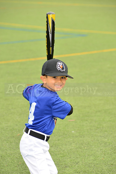 SB_TB_Ironbirds00081