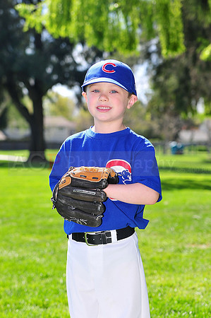FMCubs030