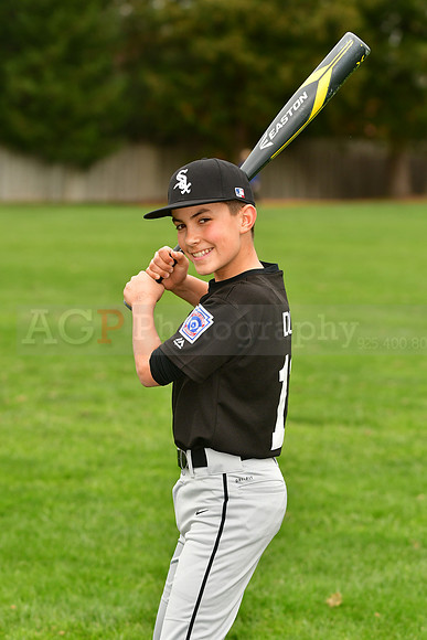 MWhiteSox010