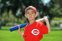 T-Ball_Reds007