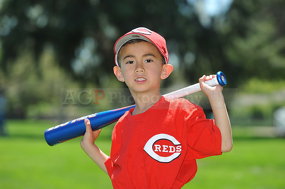 T-Ball_Reds007