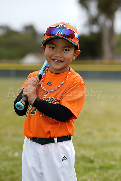 TBGrasshoppers00103
