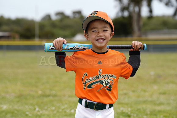 TBGrasshoppers00031
