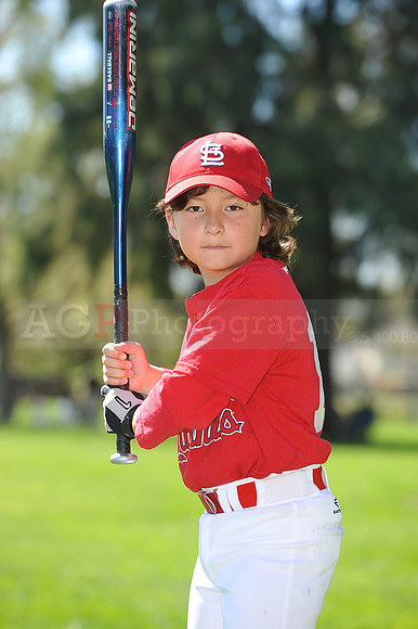 A_Cardinals079
