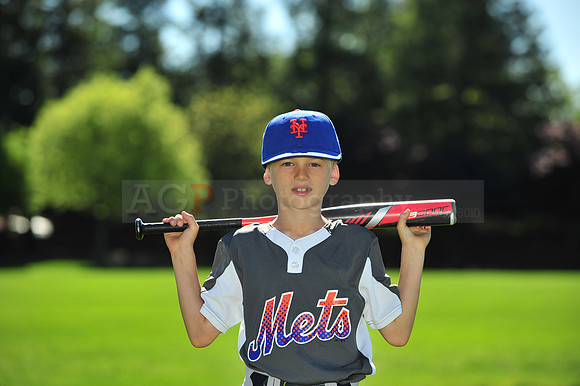 MTigers024