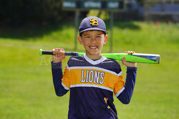 SB_PW_Lions045
