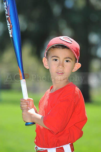 T-Ball_Reds005