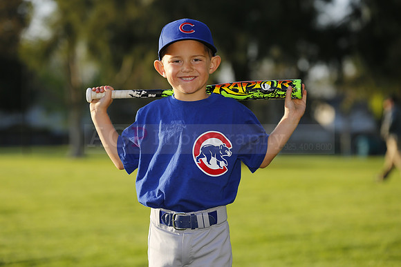 FarmCubs040