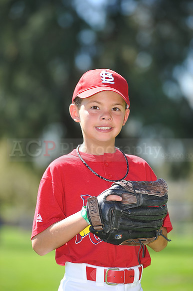 A_Cardinals014
