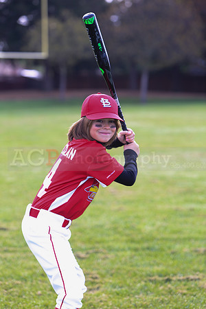 AACardinals033
