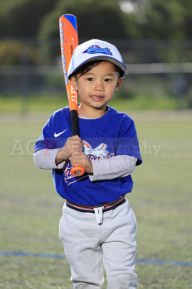 SB_TB_IronBirds041