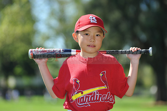 AA_Cardinals023
