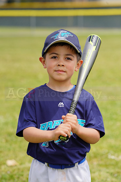 AGP09206