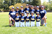 AA PADRES