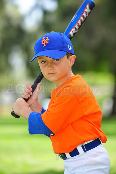 Farm_Mets106