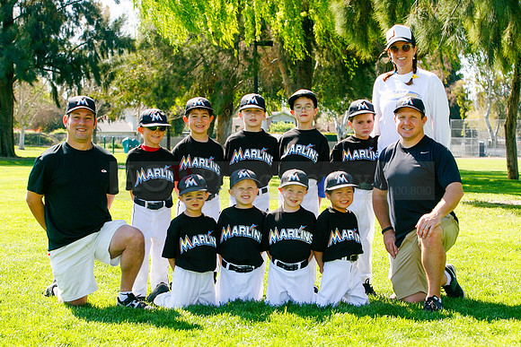 TBMarlins063