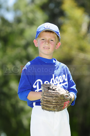 FarmDodgers001