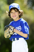 FarmDodgers016
