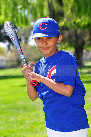 FMCubs041