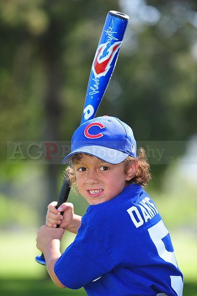 Farm_Cubs086
