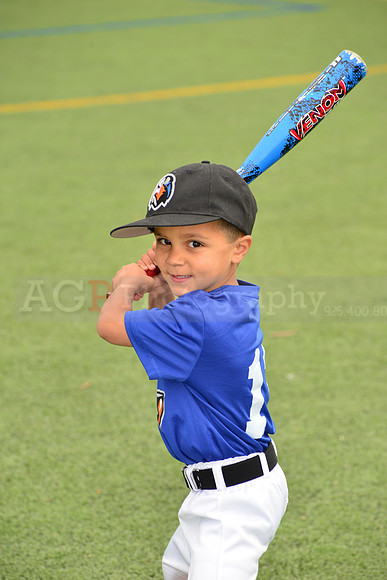 SB_TB_Ironbirds00004