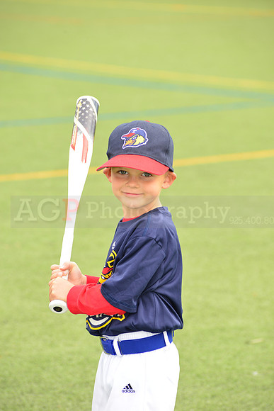 SB_TB_mudhens00064