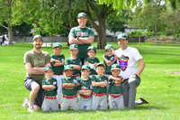 T-BALL TIN CAPS