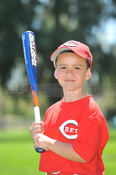 T-Ball_Reds013