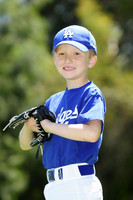 FarmDodgers023