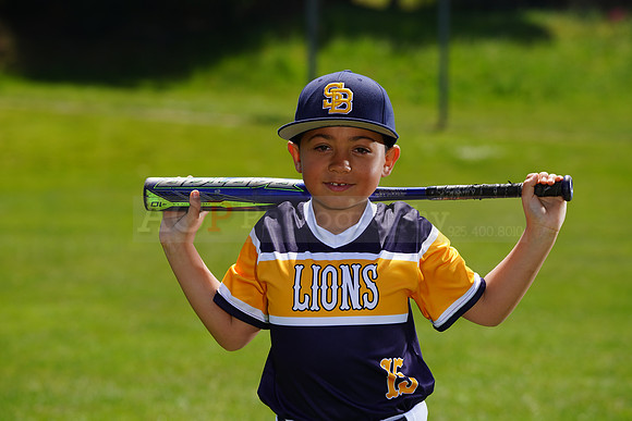 SB_PW_Lions034