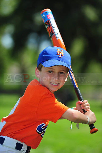 Farm_Mets082