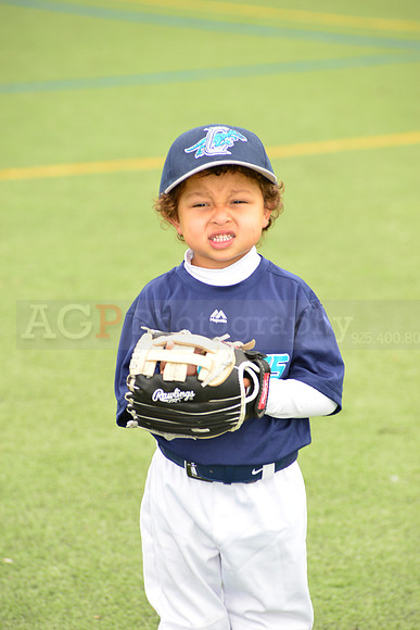 SB_TB_Raptors00104