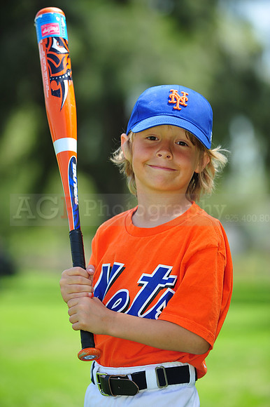 Farm_Mets094