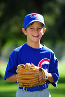 Farm_Cubs003