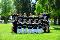 MAJOR MARLINS