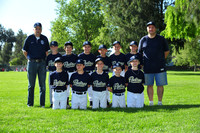 AA PADRES