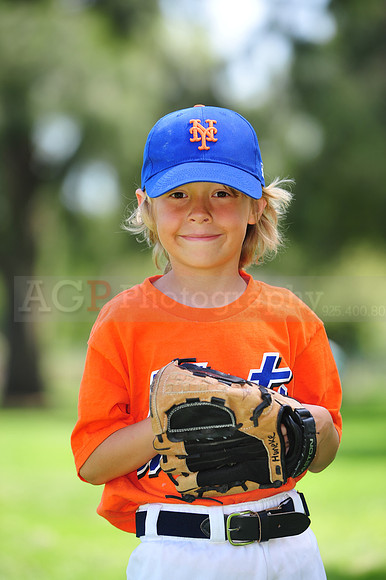 Farm_Mets102