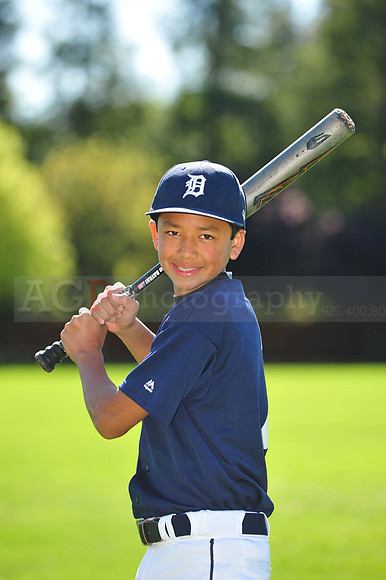 MTigers040