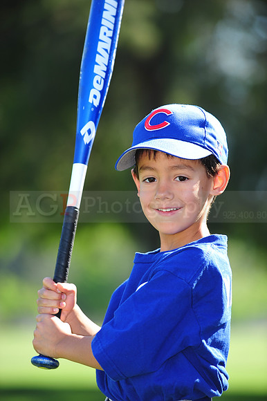 Farm_Cubs117